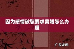 因为感情破裂要求离婚怎么办理