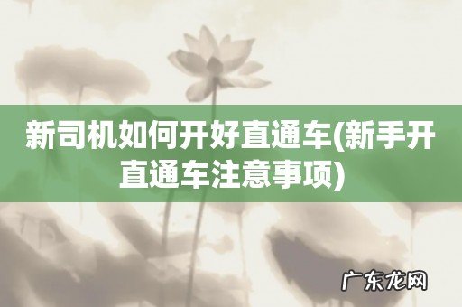 新手开直通车注意事项 新司机如何开好直通车