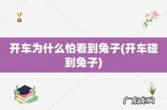 开车碰到兔子 开车为什么怕看到兔子