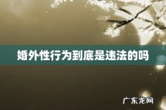 婚外性行为到底是违法的吗