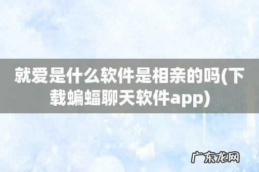 下载蝙蝠聊天软件app 就爱是什么软件是相亲的吗
