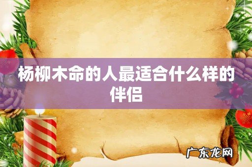 杨柳木命的人最适合什么样的伴侣