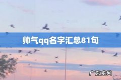 帅气qq名字汇总81句