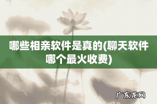 聊天软件哪个最火收费 哪些相亲软件是真的