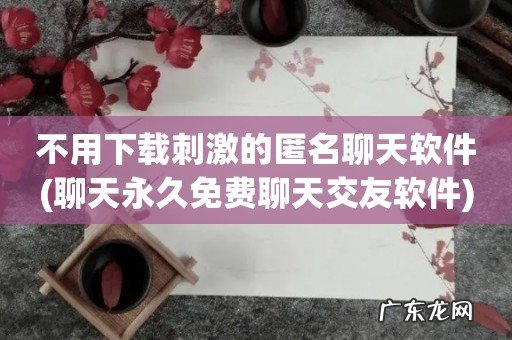 聊天永久免费聊天交友软件 不用下载刺激的匿名聊天软件