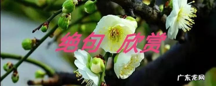 寒食译文 寒食东风