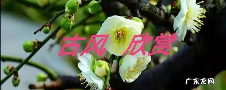 寒食译文 寒食东风