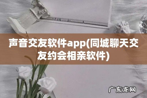 同城聊天交友约会相亲软件 声音交友软件app