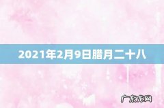2021年2月9日腊月二十八