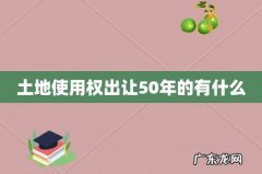 土地使用权出让50年的有什么