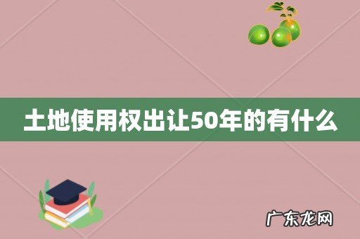 土地使用权出让50年的有什么
