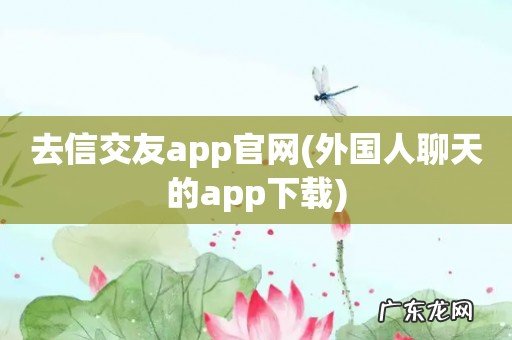外国人聊天的app下载 去信交友app官网