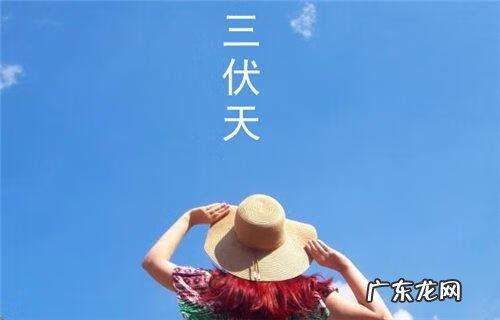 2022年三伏天从什么时候开始 三伏天从哪天开始到哪天结束