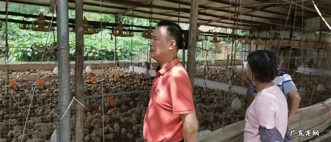 珩怎么读,什么意思 珩怎么读什么意思