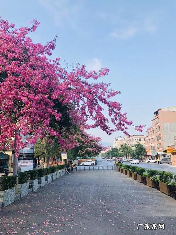 跨年装修忌讳什么 装修跨年风水上有忌讳吗吗