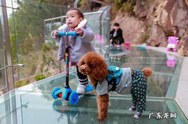 跨年装修忌讳什么 装修跨年风水上有忌讳吗吗