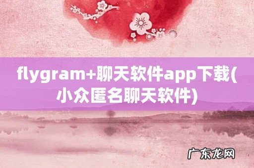 小众匿名聊天软件 flygram+聊天软件app下载