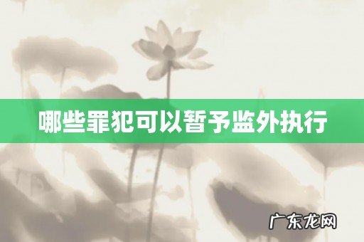 哪些罪犯可以暂予监外执行