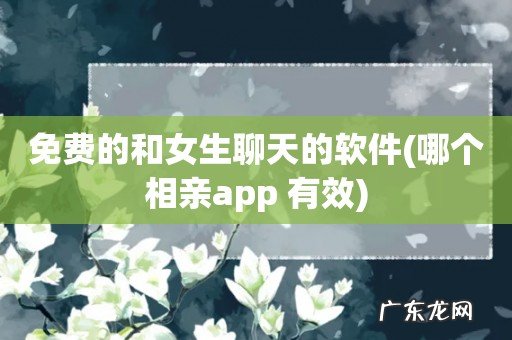 哪个相亲app 有效 免费的和女生聊天的软件