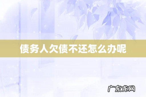 债务人欠债不还怎么办呢