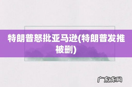 特朗普发推被删 特朗普怒批亚马逊