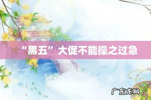 “黑五”大促不能操之过急