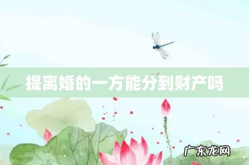 提离婚的一方能分到财产吗