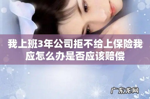 我上班3年公司拒不给上保险我应怎么办是否应该赔偿