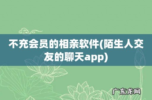 陌生人交友的聊天app 不充会员的相亲软件
