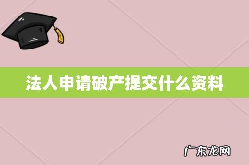 法人申请破产提交什么资料