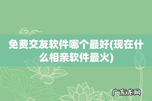现在什么相亲软件最火 免费交友软件哪个最好