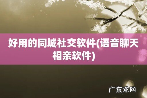 语音聊天相亲软件 好用的同城社交软件