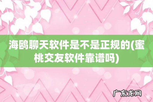 蜜桃交友软件靠谱吗 海鸥聊天软件是不是正规的