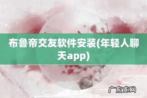 年轻人聊天app 布鲁帝交友软件安装