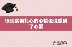 很现实很扎心的心情说说感到了心累