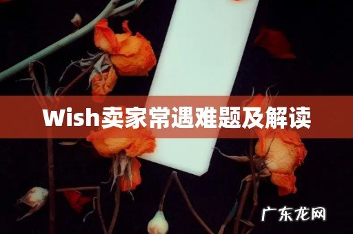 Wish卖家常遇难题及解读