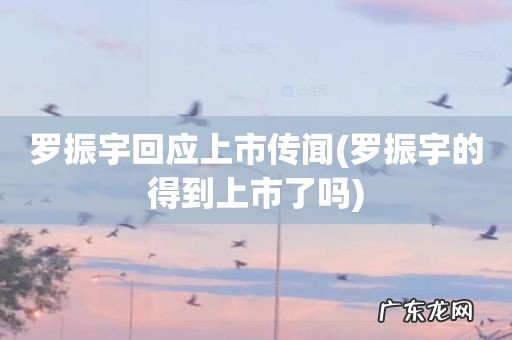 罗振宇的得到上市了吗 罗振宇回应上市传闻