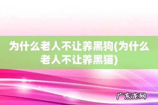 为什么老人不让养黑猫 为什么老人不让养黑狗