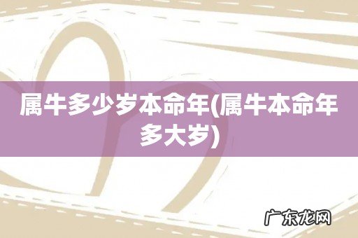 属牛本命年多大岁 属牛多少岁本命年