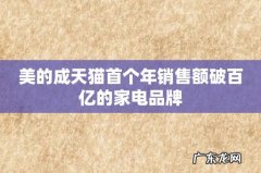 美的成天猫首个年销售额破百亿的家电品牌