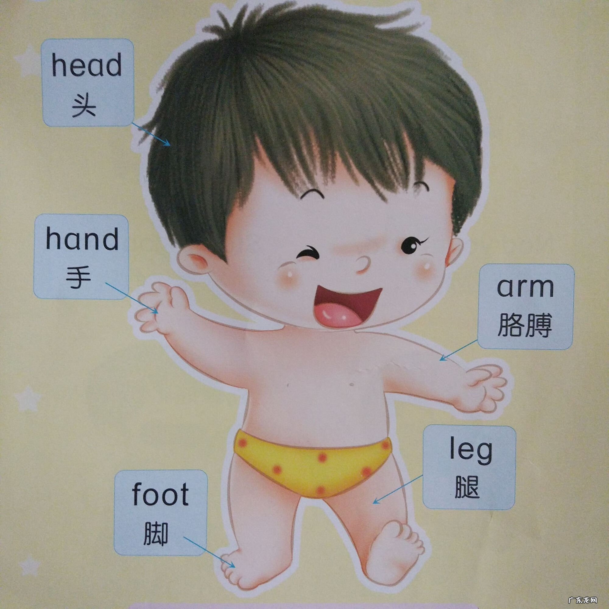 幼儿启蒙早教英语儿歌 早教英语儿歌视频