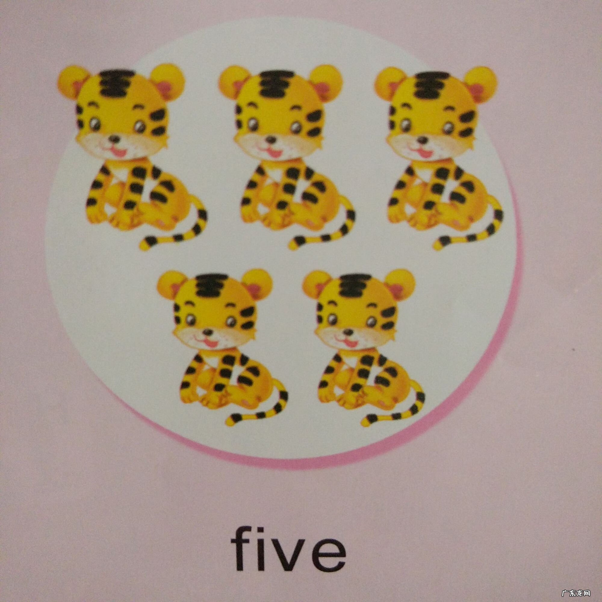 幼儿启蒙早教英语儿歌 早教英语儿歌视频