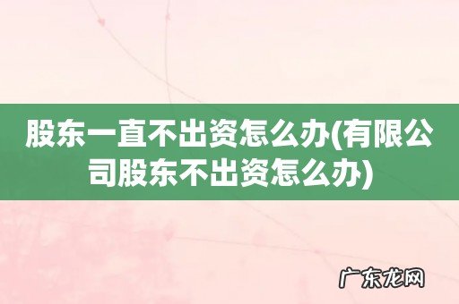 有限公司股东不出资怎么办 股东一直不出资怎么办