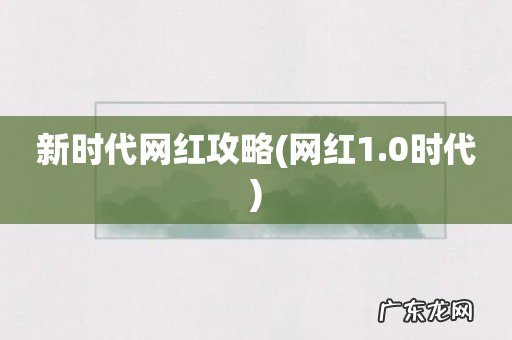 网红1.0时代 新时代网红攻略
