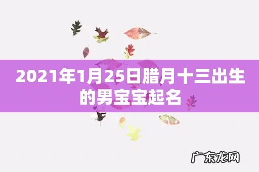 2021年1月25日腊月十三出生的男宝宝起名