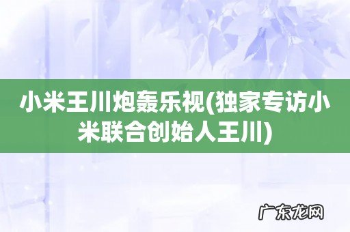 独家专访小米联合创始人王川 小米王川炮轰乐视