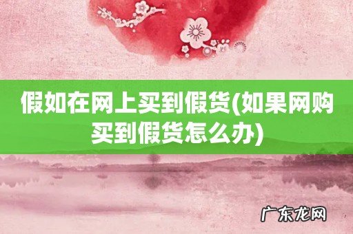 如果网购买到假货怎么办 假如在网上买到假货