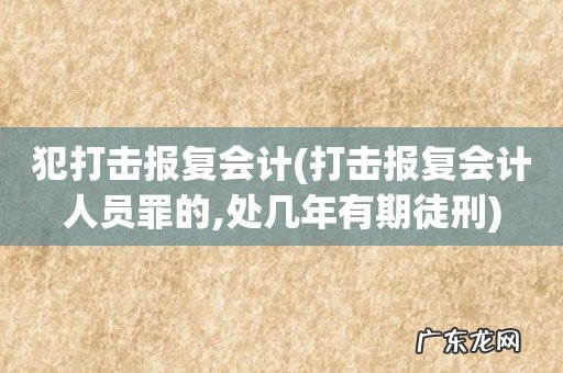 打击报复会计人员罪的,处几年有期徒刑 犯打击报复会计