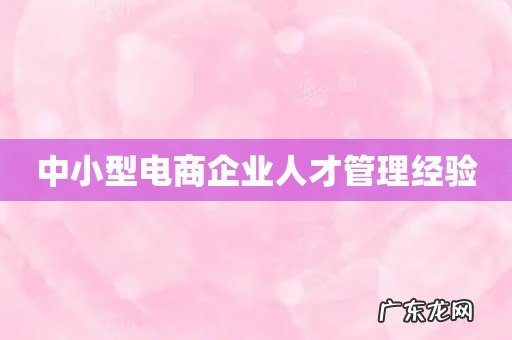 中小型电商企业人才管理经验