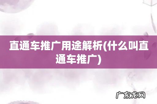 什么叫直通车推广 直通车推广用途解析